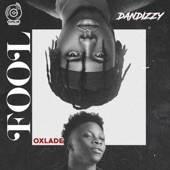 Fool (feat. Oxlade) artwork