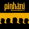 Pinhani - Ne Güzel Güldün (Live)