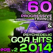 60 Progressive Trance & Psychedelic Goa Hits 2014 artwork