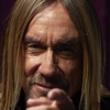 Iggy Pop