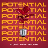Potential (feat. Aymos & Gobi Beast) artwork