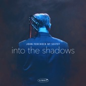 Into the Shadows artwork