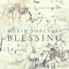 Shalygin: Blessing - Single