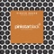 Robotnik - Pirate Snake lyrics