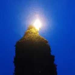 Old Socks - Single - Redd