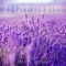 The Sea - Peder B. Helland lyrics