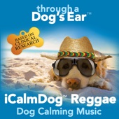Icalmdog Reggae: Dog Calming Music artwork