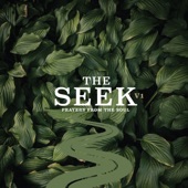 The Seek artwork