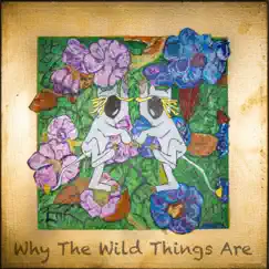 Why the Wild Things Are by Cliff Notez album reviews, ratings, credits