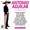 Alondra - Antonio Aguilar lyrics