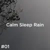 #01 Calm Sleep Rain album lyrics, reviews, download