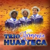 Trio Armonia Huasteca