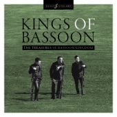 The Treasures of Bassoon Kingdom (Kings of Bassoon) artwork