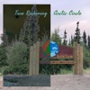 Arctic Circle - Single