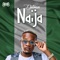 Naija - Dotman lyrics