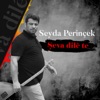 Şeva dilê te (Axa singa te) - Single