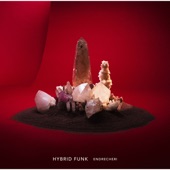 HYBRID FUNK (Complete Edition) artwork