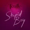Stupid Boy - Single album lyrics, reviews, download