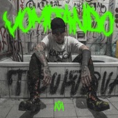 Vomitando artwork