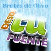 Desde Tu Fuente artwork