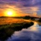 Loving Chill - Falken lyrics