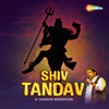 Shiv Tandav by Shankar Mahadevan - Single