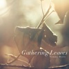 Gathering Leaves - Single