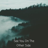 See You on the Other Side (feat. AMB) artwork