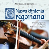 Nuova Sinfonia Gregoriana artwork