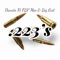 223's (feat. FBP Moe & Big Grit) - Danoto lyrics