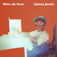 Vagabon - Water Me Down (Pamcy Remix) artwork