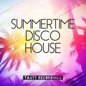 Summertime Disco House artwork