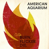 American Aquarium - Savannah Almost Killed Me