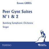 Peer Gynt Suite No. 1 Op. 46: II. Death of Åse artwork