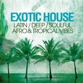 Exotic House (Latin Deep Soulful Afro & Tropical Vibes) artwork