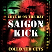 Love Is On the Way Collected Cuts artwork