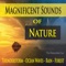 Magnificent Waterfall White Noise - The Kokorebee Sun lyrics