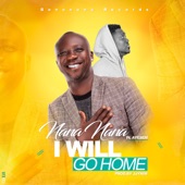 I Will Go Home (feat. Ayesem) artwork