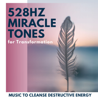 Nancy Malet - 528Hz Miracle Tones for Transformation: Music to Cleanse Destructive Energy artwork