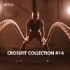 Crossfit Collection, Vol. 14