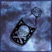 The Entire History of You artwork