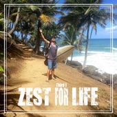 Zest for Life artwork