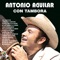 Las Gaviotas - Antonio Aguilar lyrics