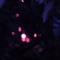 Missed Calls (feat. Cr00k) - yung heartbroken lyrics