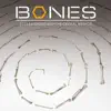 Bones Theme (From "Bones"/2012 Extended Mix) - Single album lyrics, reviews, download