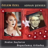 Neden Saçların Beyazlamış Arkadaş artwork