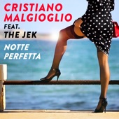 Notte perfetta (feat. The Jek) artwork