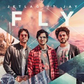 Fly artwork