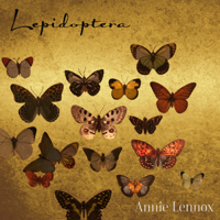 Annie Lennox - Lepidoptera artwork