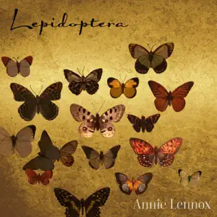 descargar álbum Annie Lennox - Lepidoptera